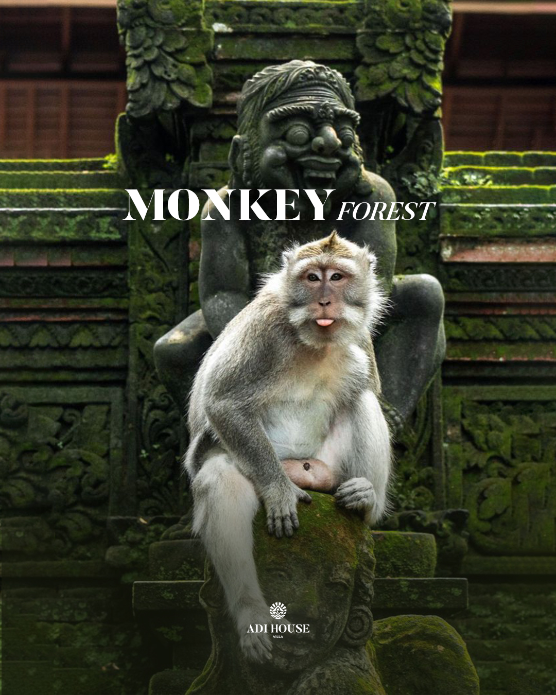 10 advantages of staying in a luxury villa